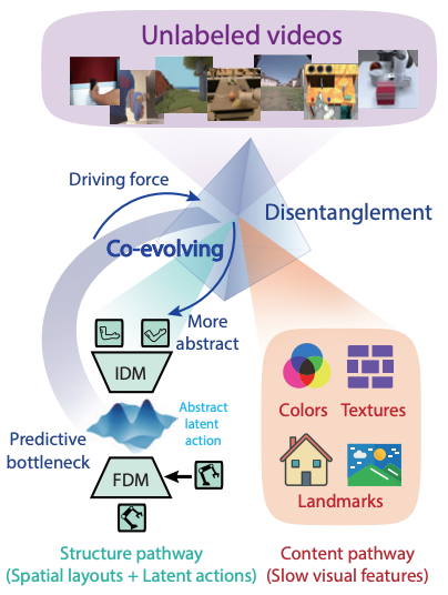 DiLA: Disentangled Latent Action World Models