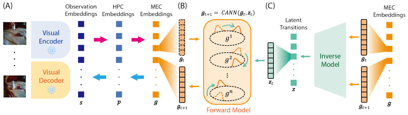 Structure Abstraction and Generalization in a Hippocampal-Entorhinal Inspired World Model