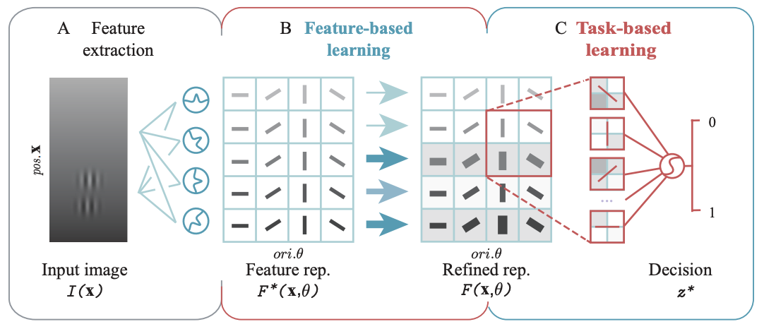 To learn or not to learn, that is the question—a feature-task dual learning model of perceptual learning